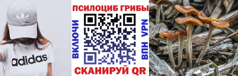 Псилоцибиновые грибы мухоморы  Елизово 