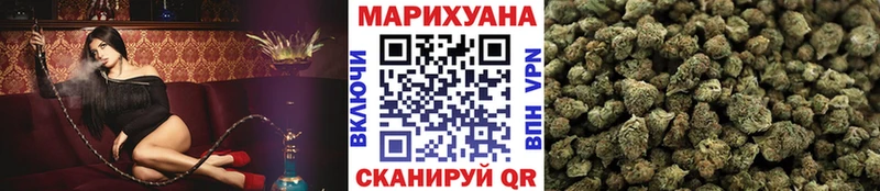 Бошки марихуана AK-47  как найти закладки  Елизово 